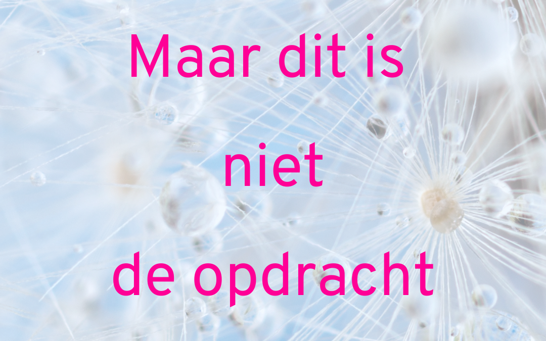 Maar dit is niet de opdracht! Ontwerpend leren met Zo kan ook!