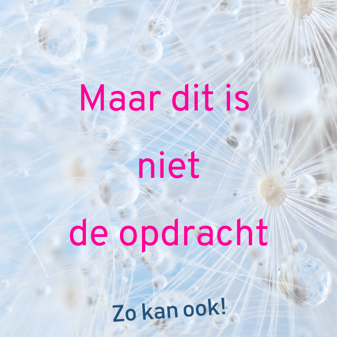 Maar dit is niet de opdracht! Ontwerpend leren met Zo kan ook!